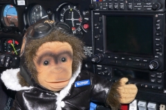 Captain Waypoint
